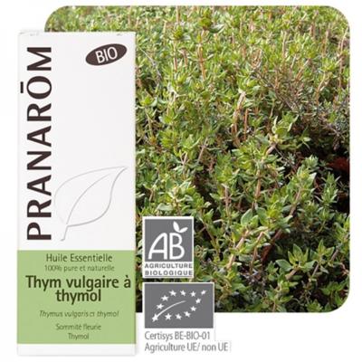 Huile essentielle de thym à thymol bio, 5 ml