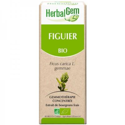 Figuier bio macérat de bourgeons frais - 30 ml- Herbalgem