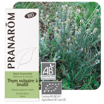 Thym vulgaire à linalol bio, 5 ml