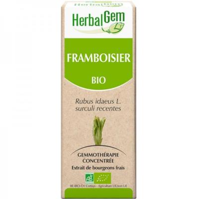 Framboisier bio macérat bourgeons frais - 30 ml- Herbalgem